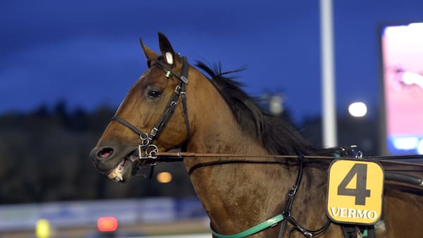 Foto: LARS JAKOBSSON / TR BILD