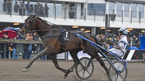 Foto: MALIN ALBINSSON / TR BILD