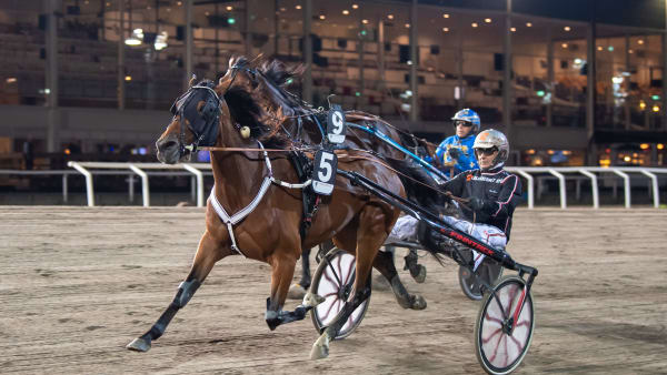 Foto: MIKAEL ROSENQUIST / TR BILD