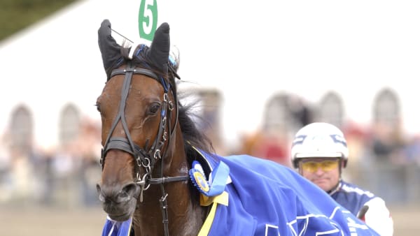 Foto: THOMAS BLOMQVIST / TR BILD