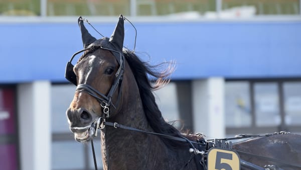 Foto: LARS JAKOBSSON / TR BILD