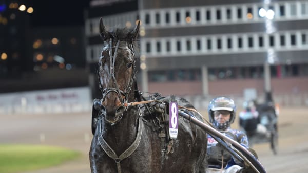 Foto: LARS JAKOBSSON / TR BILD