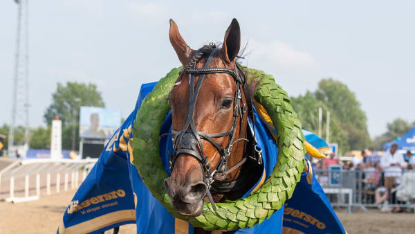 Foto: MIKAEL ROSENQUIST / TR BILD