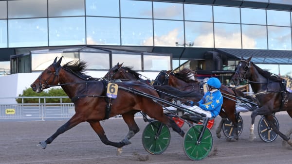 Foto: MARIA HOLMÉN / TR BILD