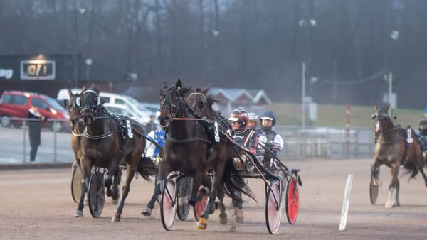 Foto: MIKAEL ROSENQUIST / TR BILD