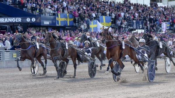 Foto: LARS JAKOBSSON / TR BILD