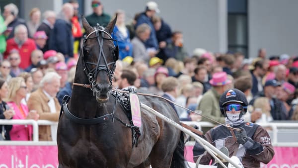 Foto: LENA EMMOTH / TR BILD