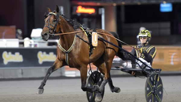 Foto: LARS JAKOBSSON / TR BILD