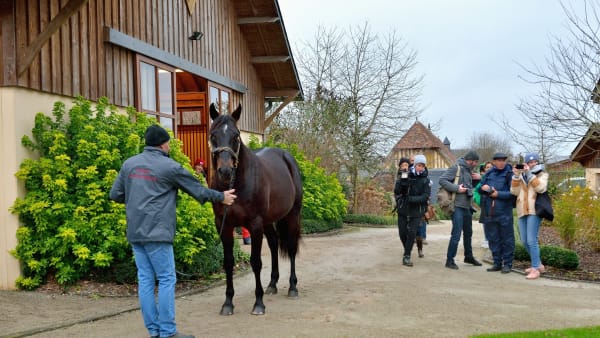 Foto: JEAN-LUC LAMAÈRE/LE TROT