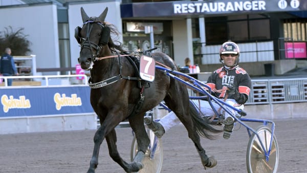 Show Me Heaven är en av tre hästar som redan nu är anmäld till treåringsloppet på Solvalla nästa onsdag.