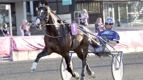 Foto: LARS JAKOBSSON / TR BILD