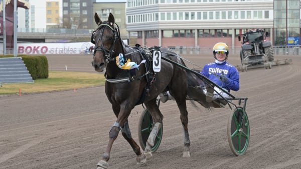 Foto: LARS JAKOBSSON / TR BILD