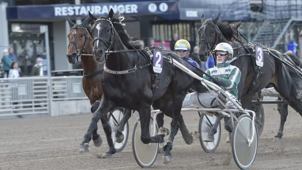 Foto: LARS JAKOBSSON / TR BILD