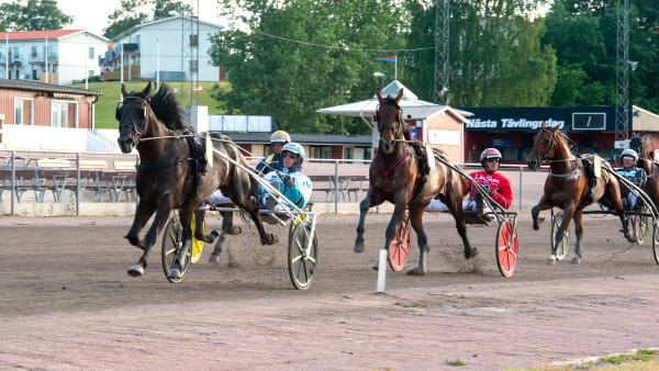 Foto: MIKAEL ROSENQUIST / TR BILD