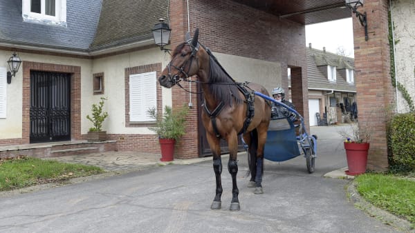 Foto: LARS JAKOBSSON / TR BILD