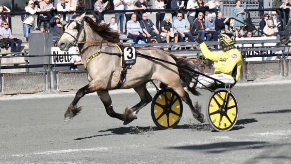 Foto: STEIN LARSEN