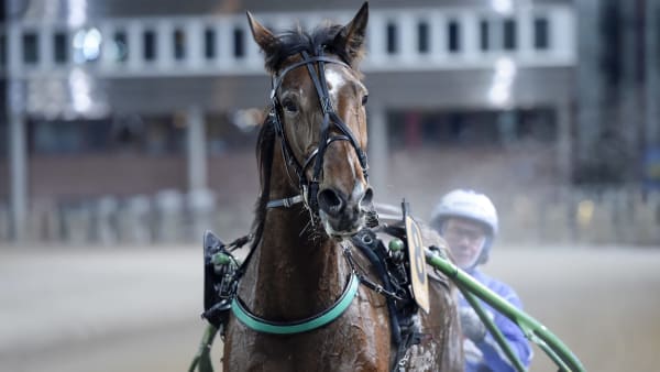 Foto: LARS JAKOBSSON / TR BILD