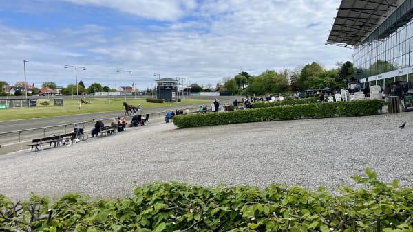 Foto: MATTIAS HOLMGREN/TR BILD