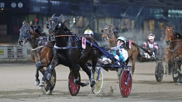 Foto: MARIA HOLMÉN / TR BILD