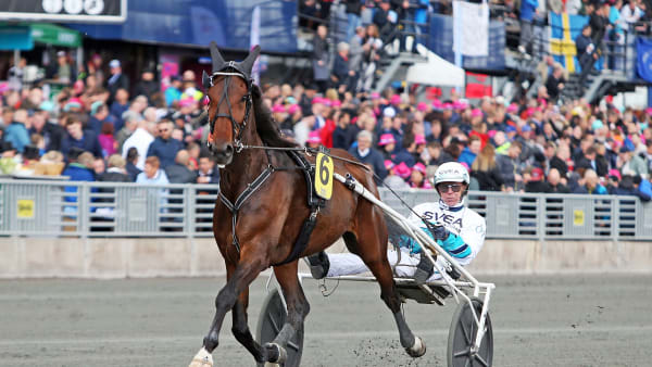 Foto: MATILDA ÖHRMAN / TR BILD