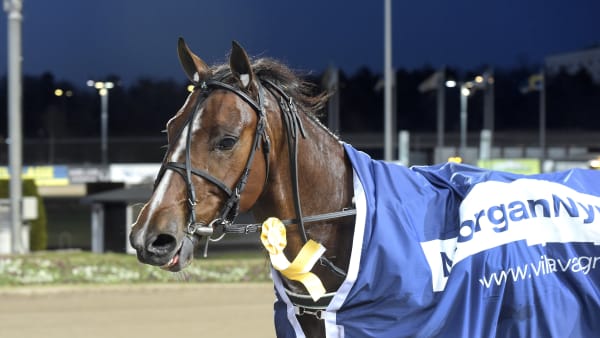 Foto: LARS JAKOBSSON / TR BILD