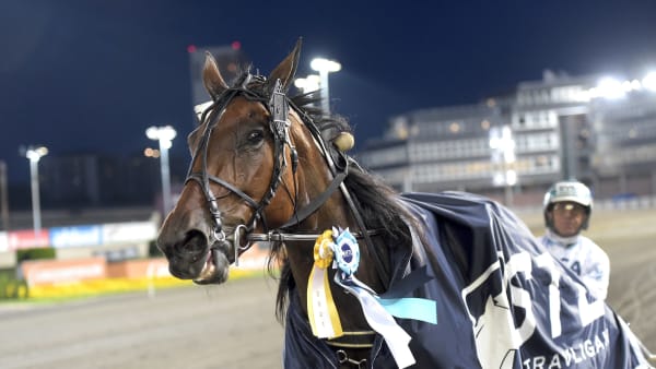 Foto: LARS JAKOBSSON / TR BILD