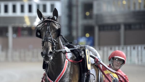 Foto: LARS JAKOBSSON / TR BILD