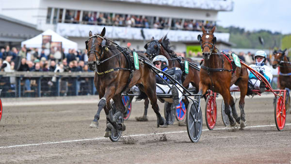 Foto: MALIN ALBINSSON / TR BILD