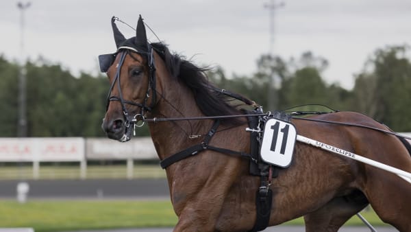 Foto: LENA EMMOTH / TR BILD