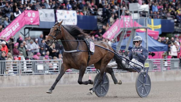 Foto: LENA EMMOTH / TR BILD