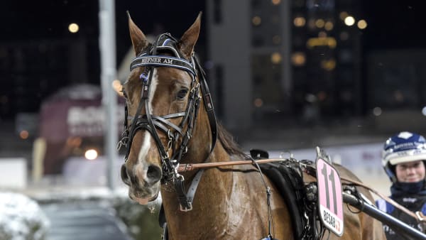 Foto: LARS JAKOBSSON / TR BILD