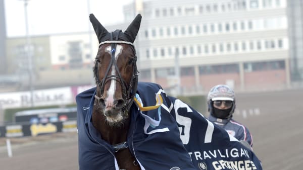 Foto: LARS JAKOBSSON / TR BILD