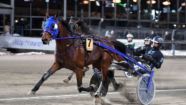 Foto: MALIN ALBINSSON / TR BILD