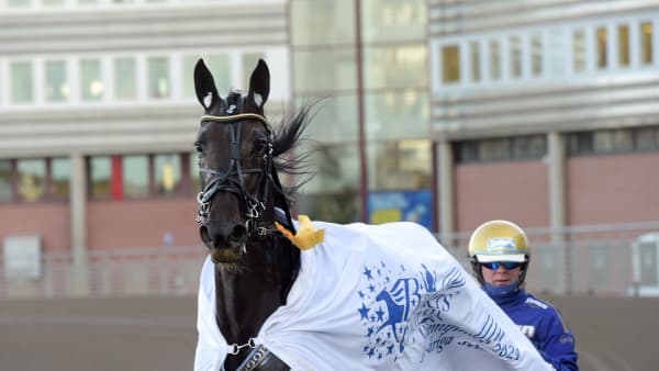 Foto: LARS JAKOBSSON / TR BILD