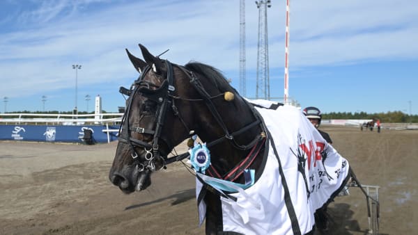 Foto: LARS JAKOBSSON / TR BILD