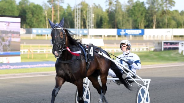 Foto: MALIN ALBINSSON / TR BILD