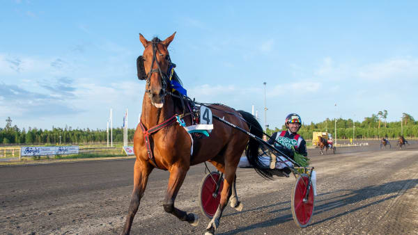 Foto: MIKAEL ROSENQUIST / TR BILD