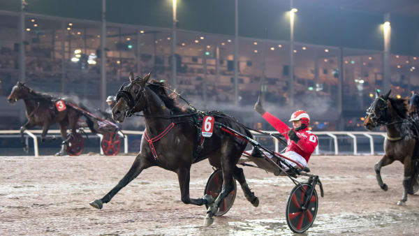 Foto: MIKAEL ROSENQUIST / TR BILD