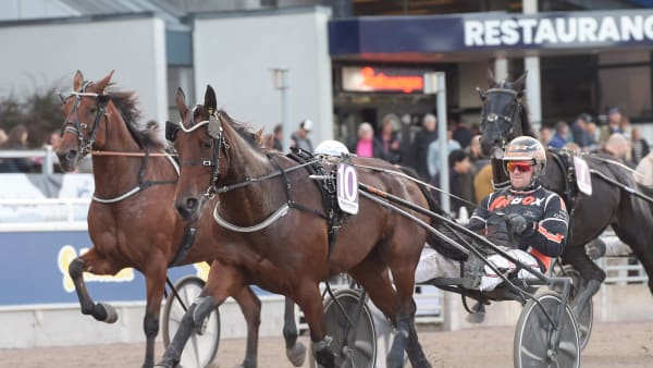 Foto: LARS JAKOBSSON / TR BILD