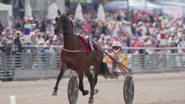 Foto: THOMAS BLOMQVIST / TR BILD