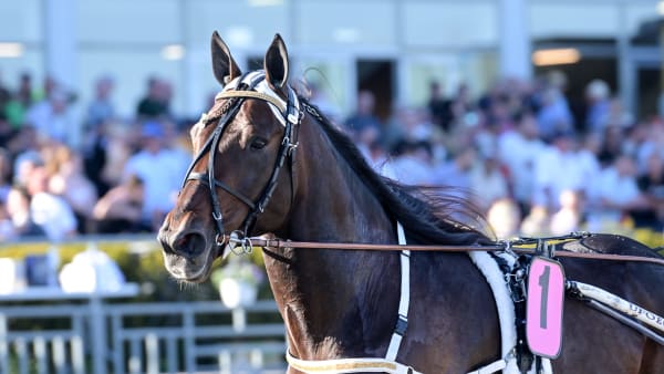 Foto: LARS JAKOBSSON / TR BILD