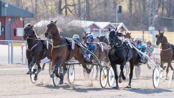 Foto: MIKAEL ROSENQUIST / TR BILD