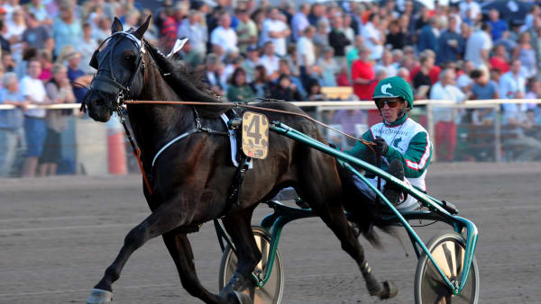 Foto: LARS JAKOBSSON/TR BILD