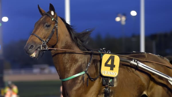 Foto: LARS JAKOBSSON / TR BILD