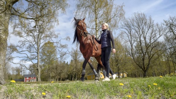 Foto: LARS JAKOBSSON/TR BILD