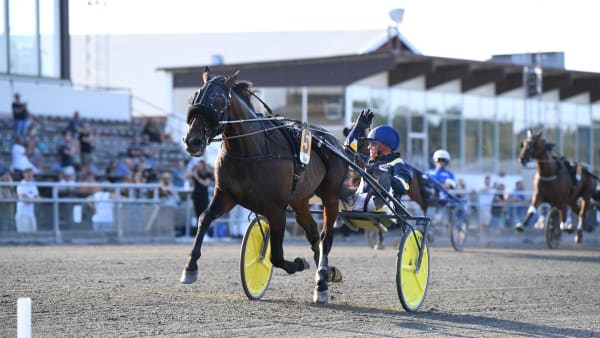 Foto: MALIN ALBINSSON/TR BILD