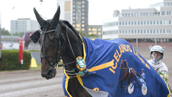 Foto: LARS JAKOBSSON / TR BILD