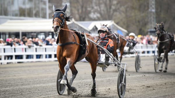 Foto: MALIN ALBINSSON / TR BILD