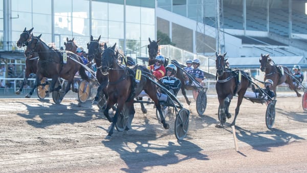 Foto: MIKAEL ROSENQUIST / TR BILD