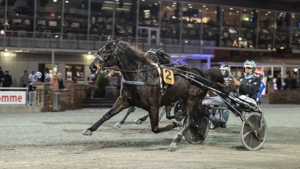 Foto: LENA EMMOTH / TR BILD